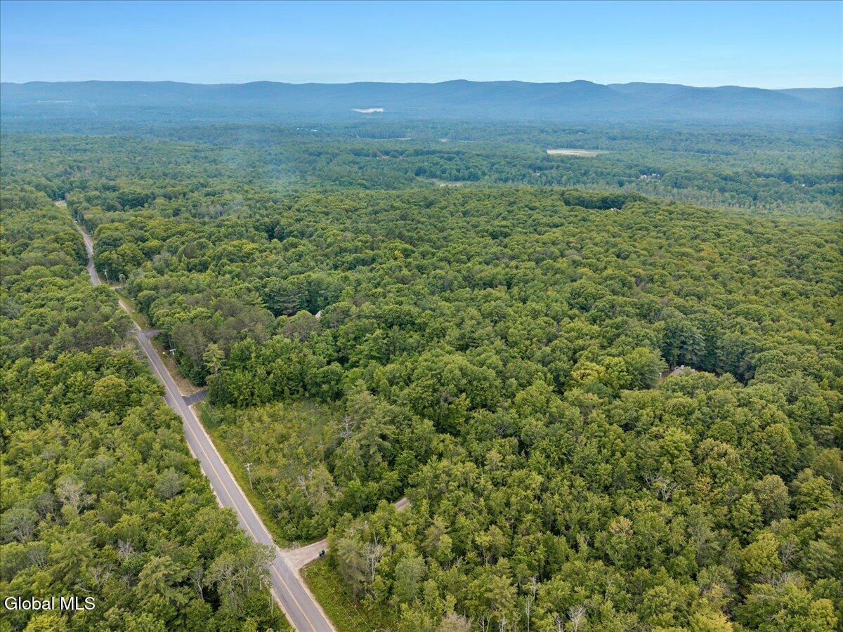 50 Lincoln Mountain Road Greenfield Center NY 12833