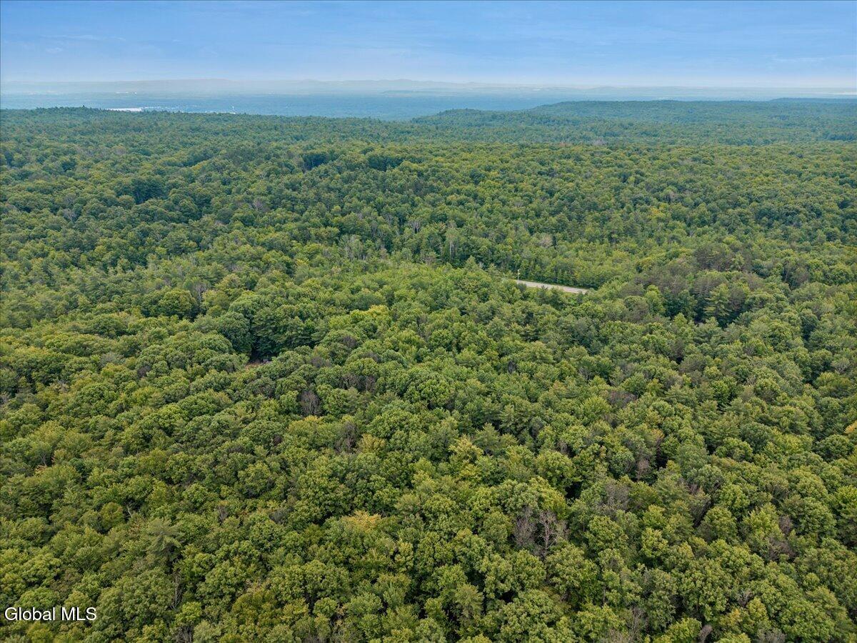 50 Lincoln Mountain Road Greenfield Center NY 12833
