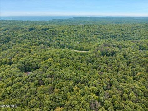 50 Lincoln Mountain Road Greenfield Center NY 12833