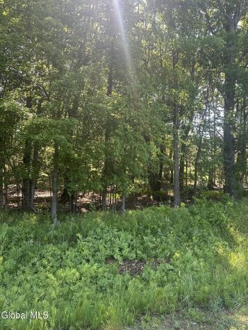 L7 Wilton Woods Court Saratoga Springs NY 12866