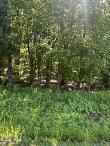 L7 Wilton Woods Court Saratoga Springs NY 12866