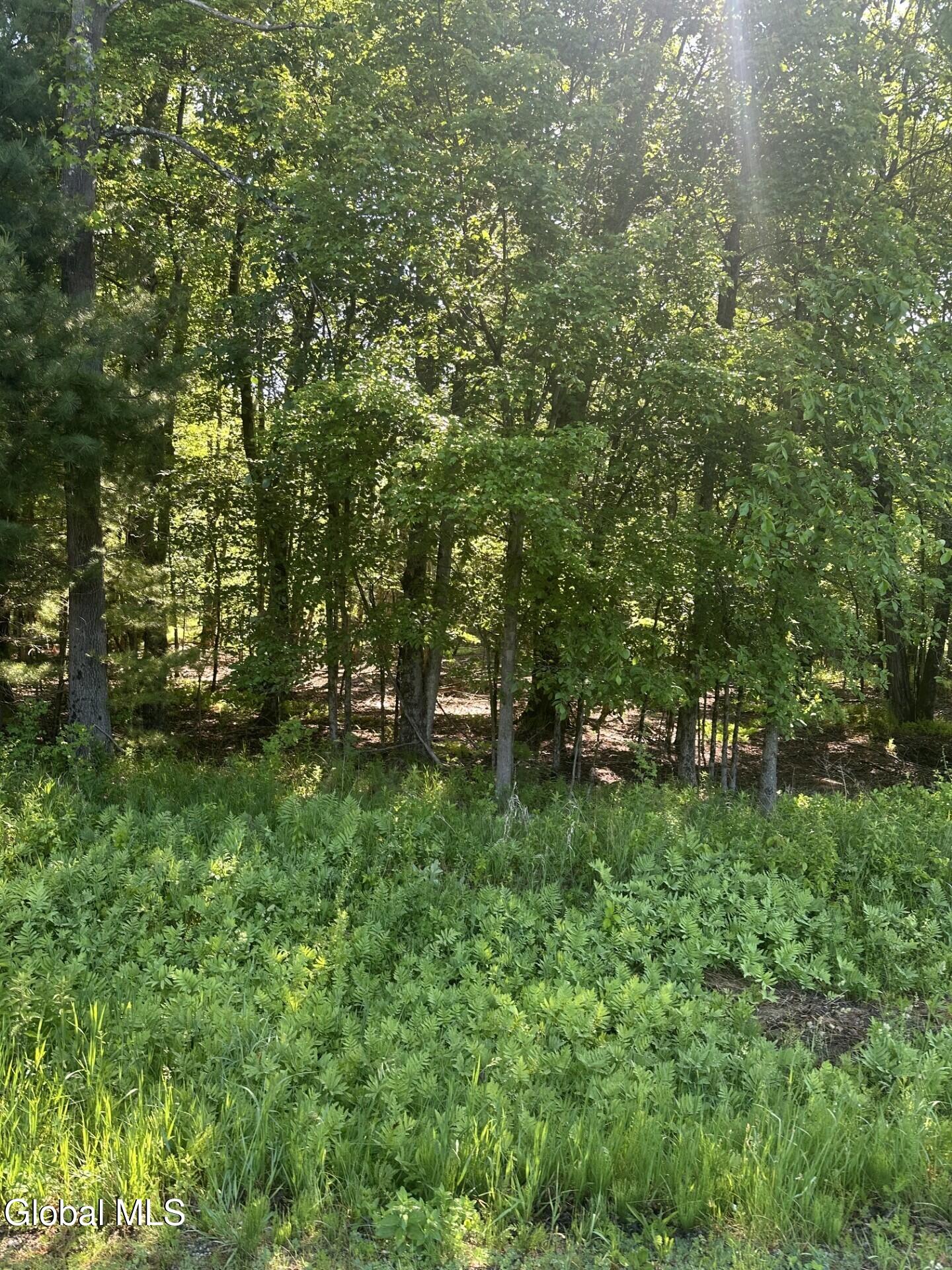 L7 Wilton Woods Court Saratoga Springs NY 12866
