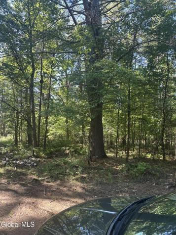 L7 Wilton Woods Court Saratoga Springs NY 12866