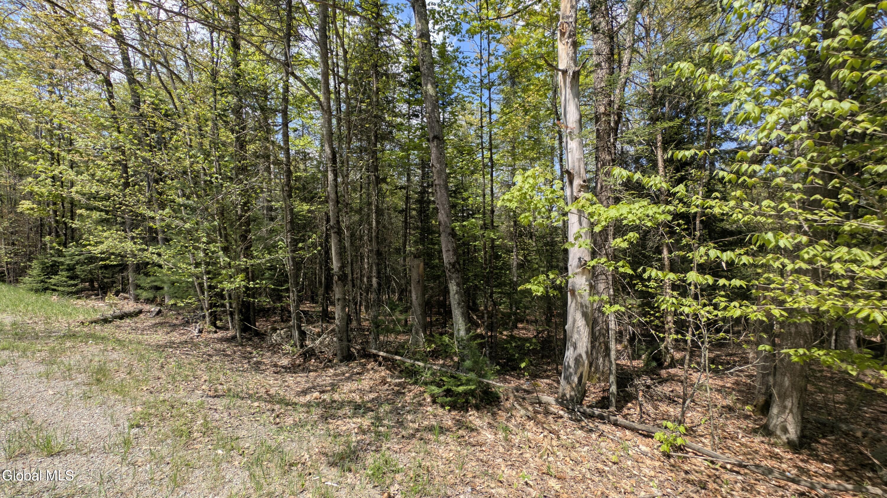 360 Igerna Road North Creek NY 12853