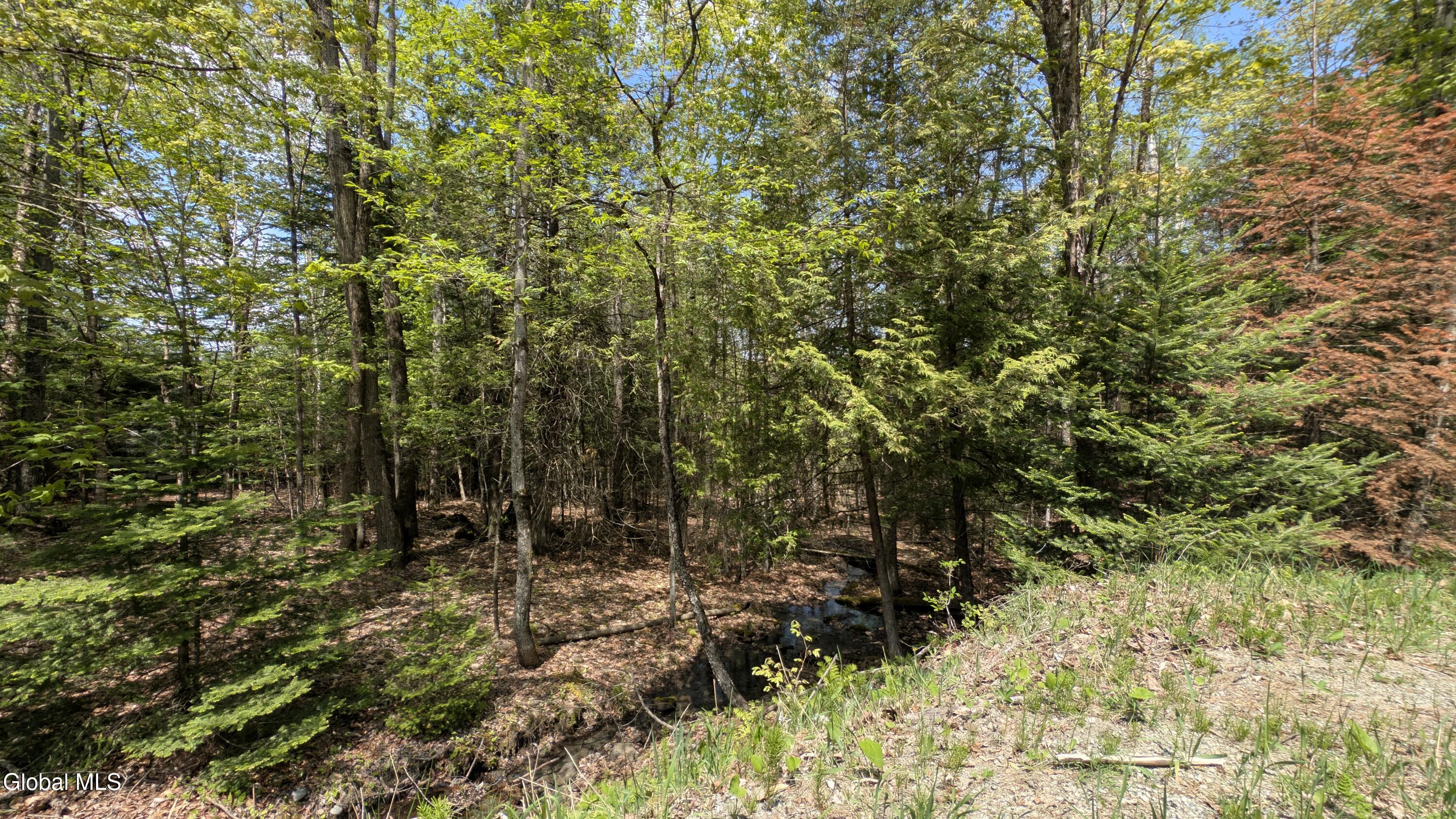 360 Igerna Road North Creek NY 12853
