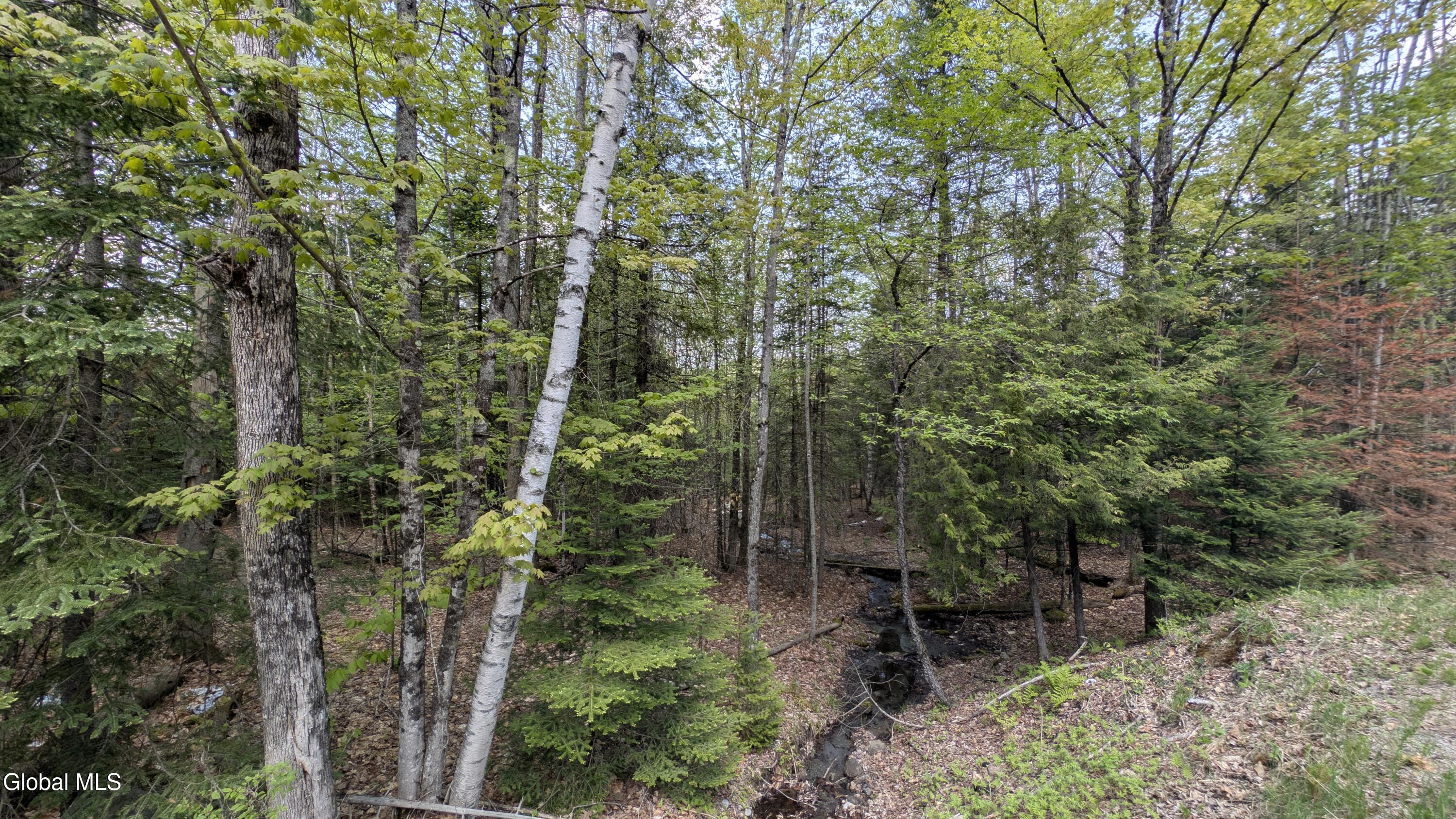 360 Igerna Road North Creek NY 12853