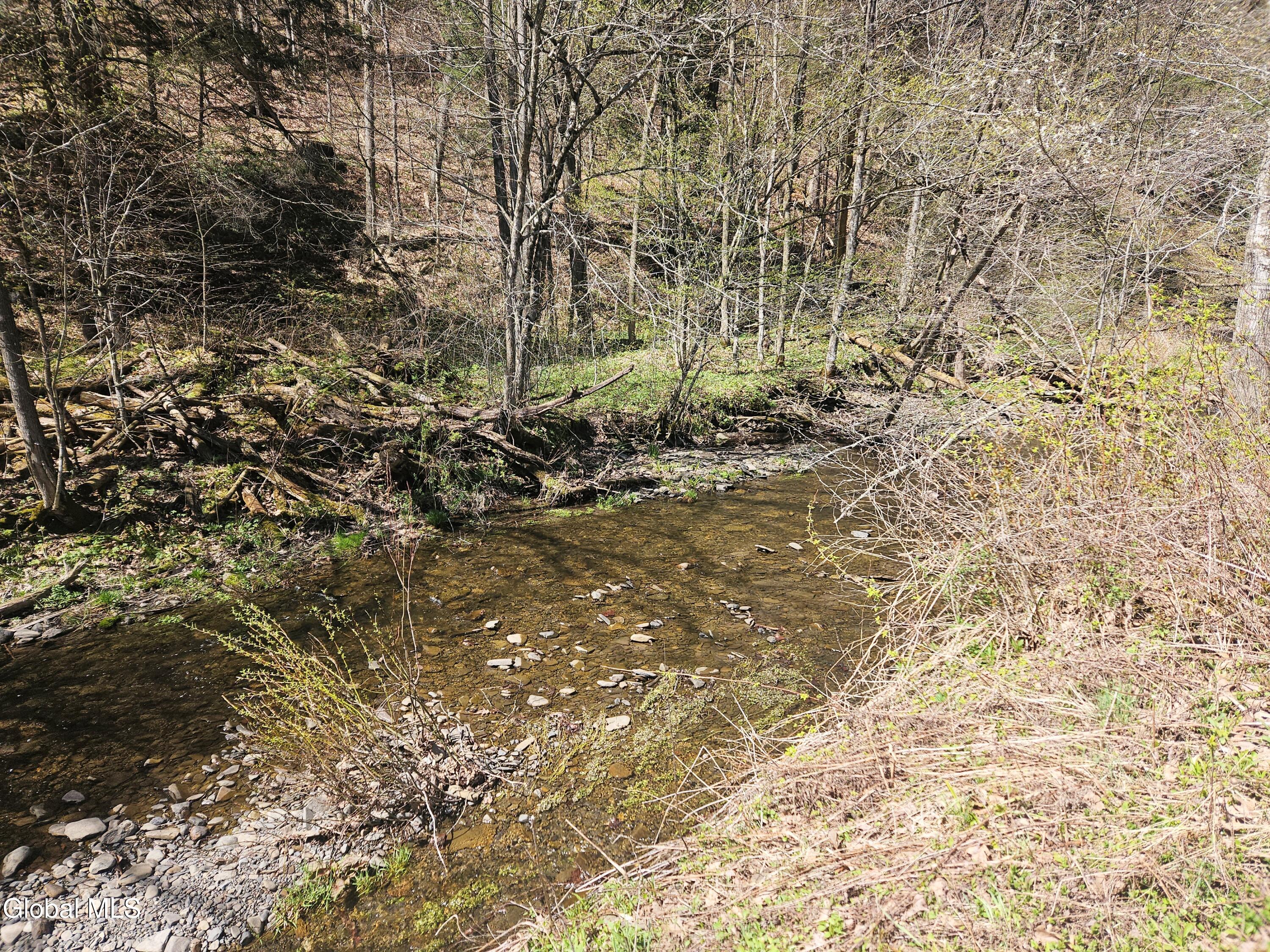 915 Mill Valley Road Middleburgh NY 12122