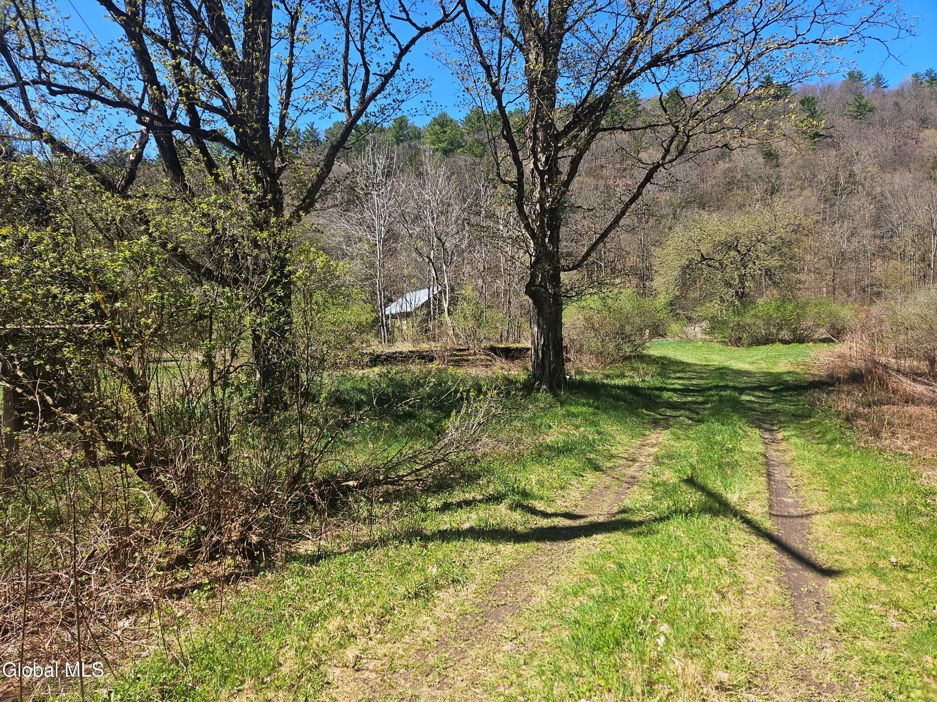 915 Mill Valley Road Middleburgh NY 12122