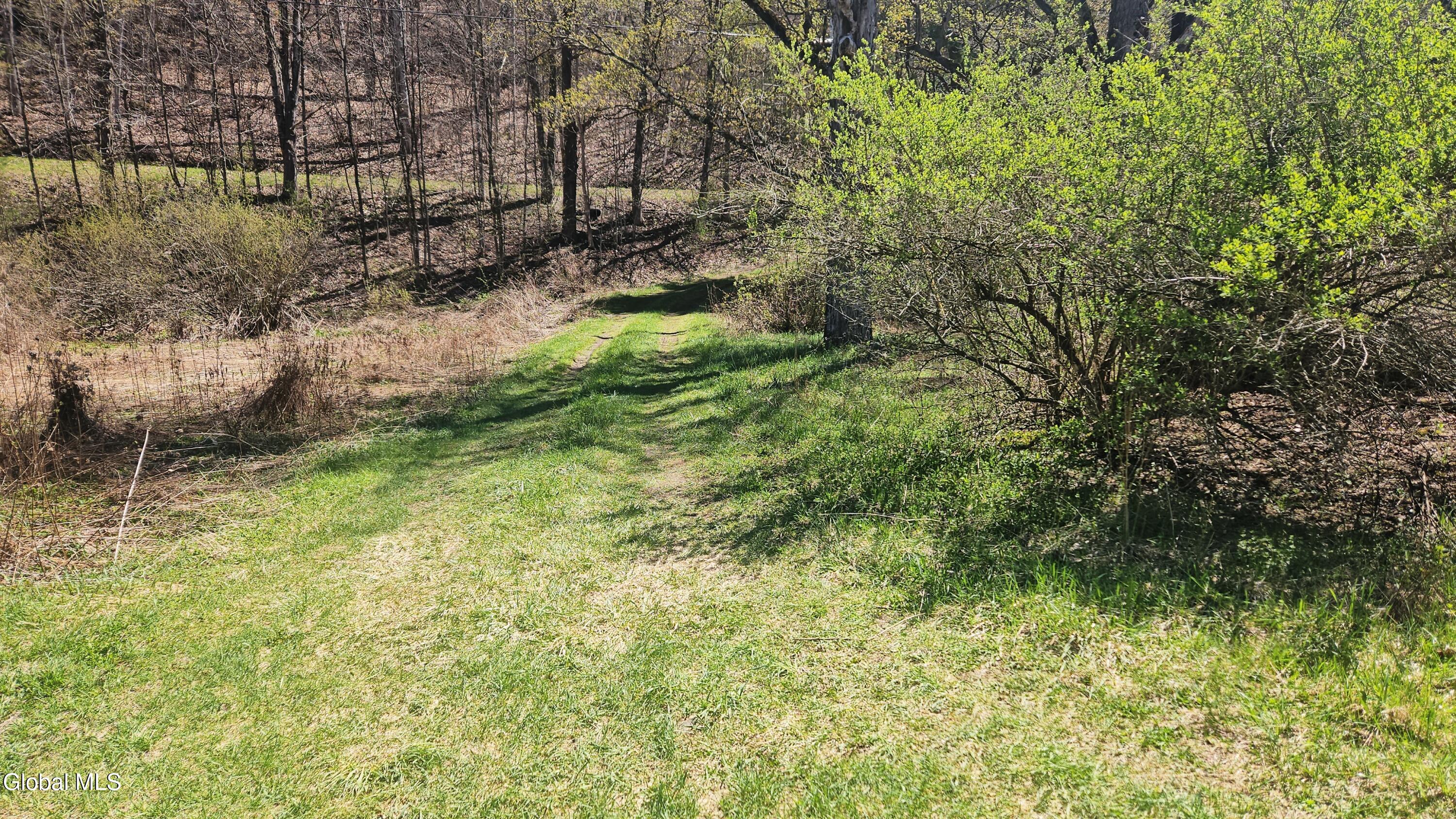 915 Mill Valley Road Middleburgh NY 12122