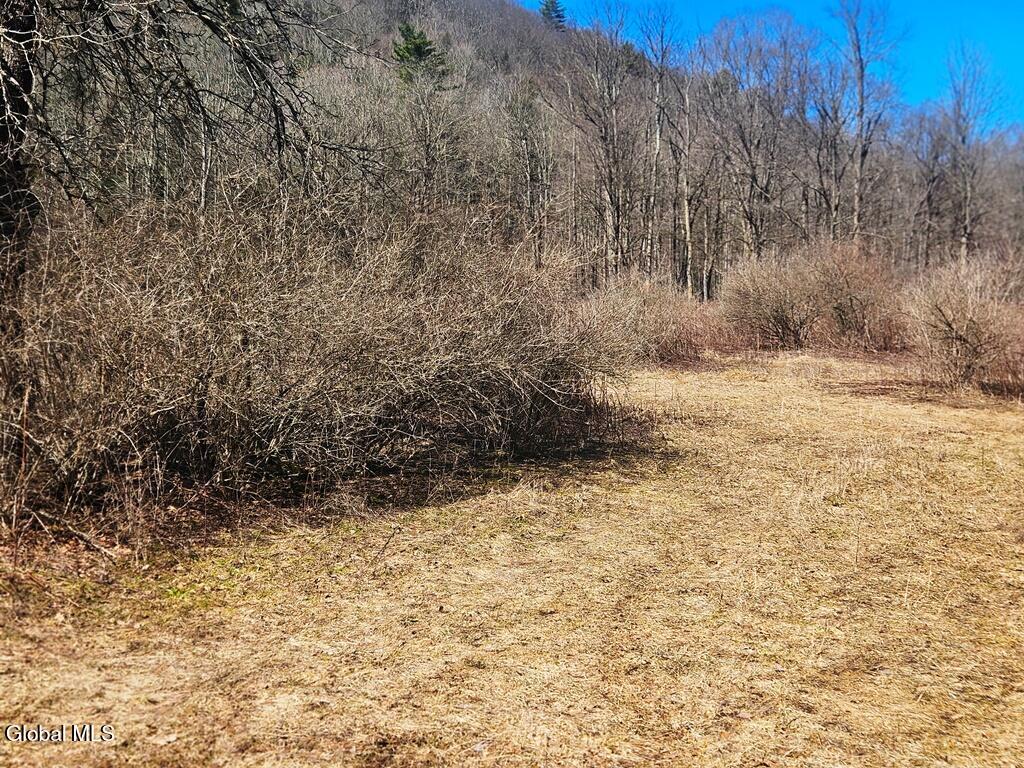 915 Mill Valley Road Middleburgh NY 12122