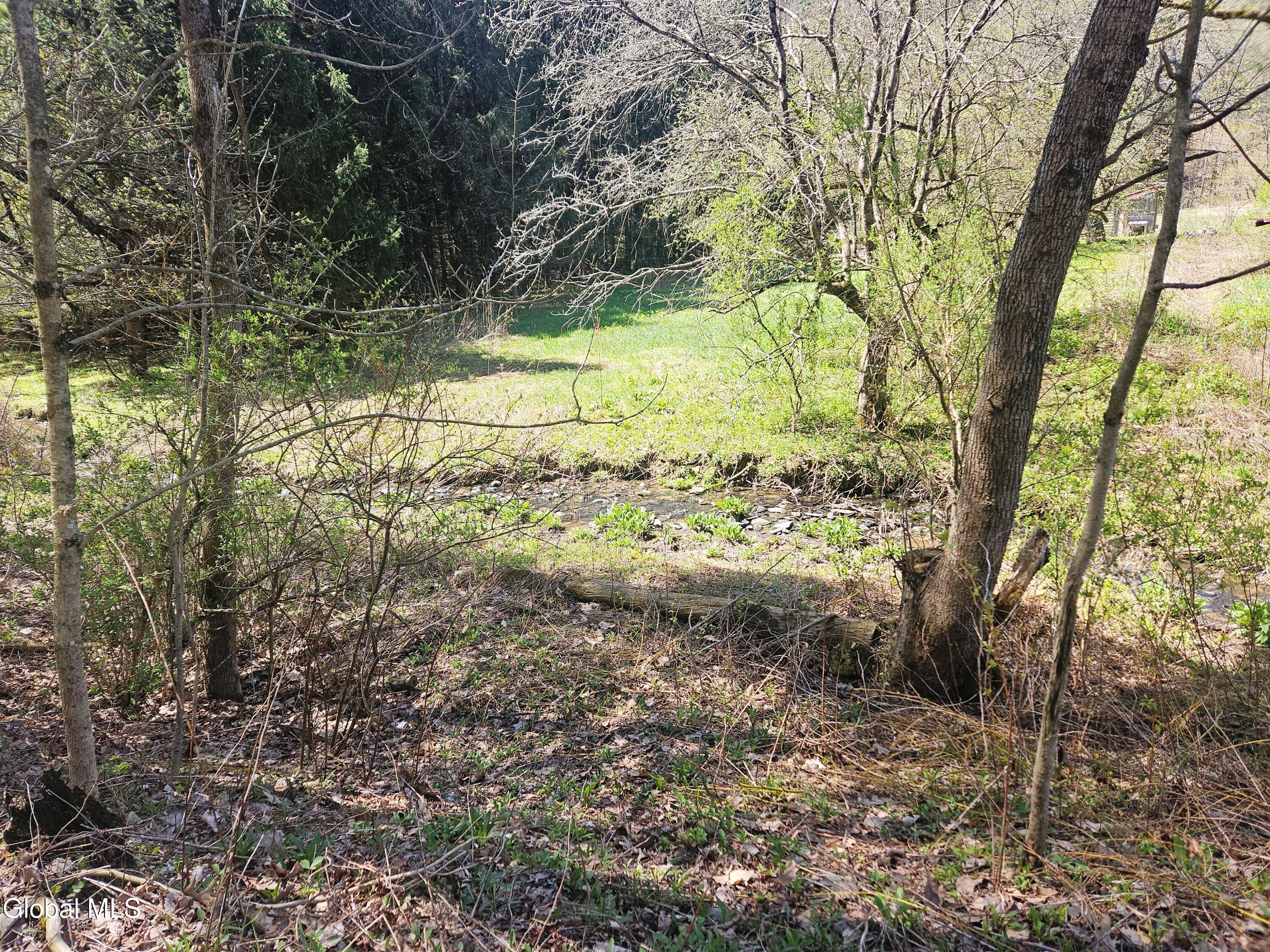 915 Mill Valley Road Middleburgh NY 12122