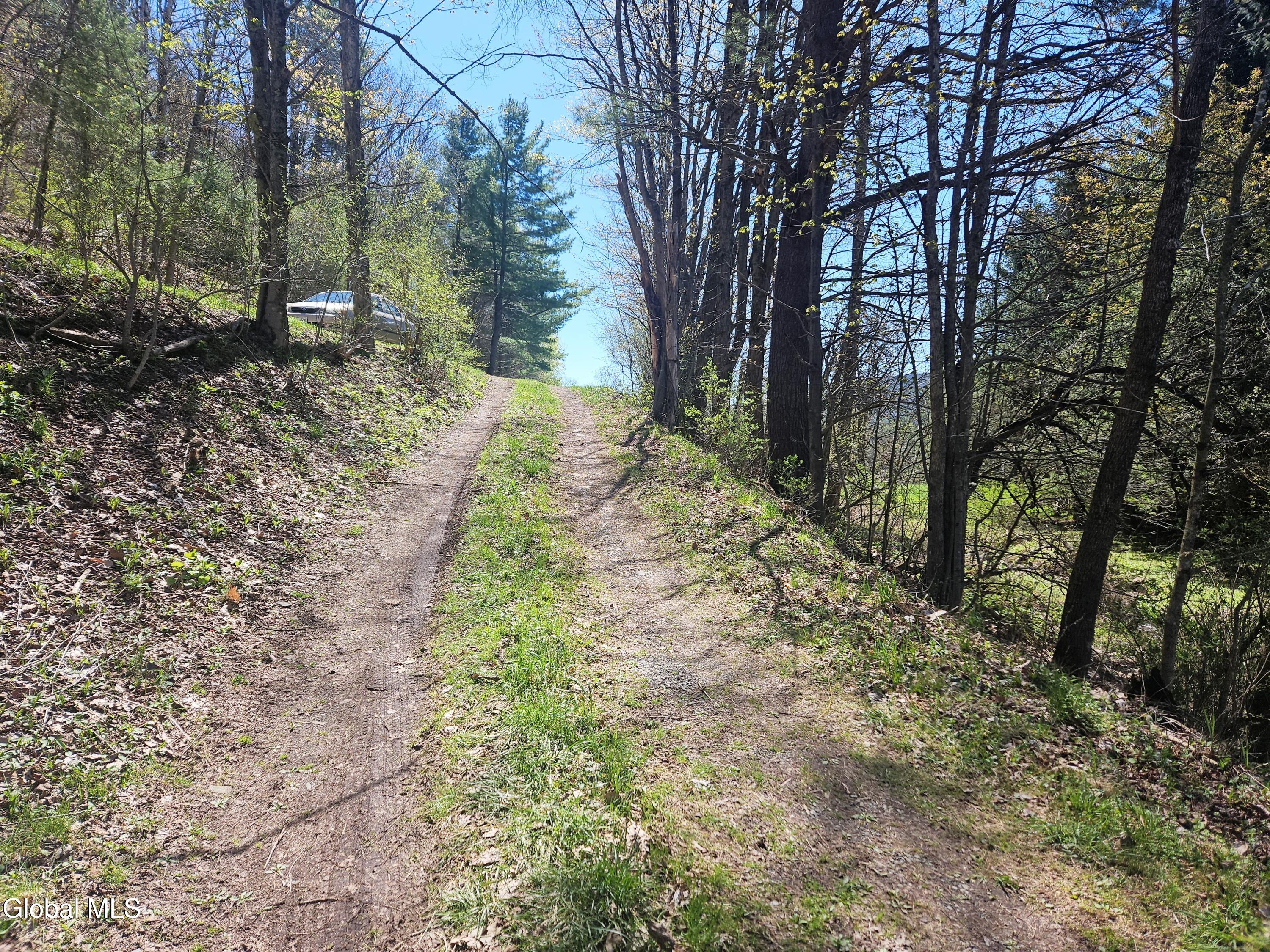915 Mill Valley Road Middleburgh NY 12122