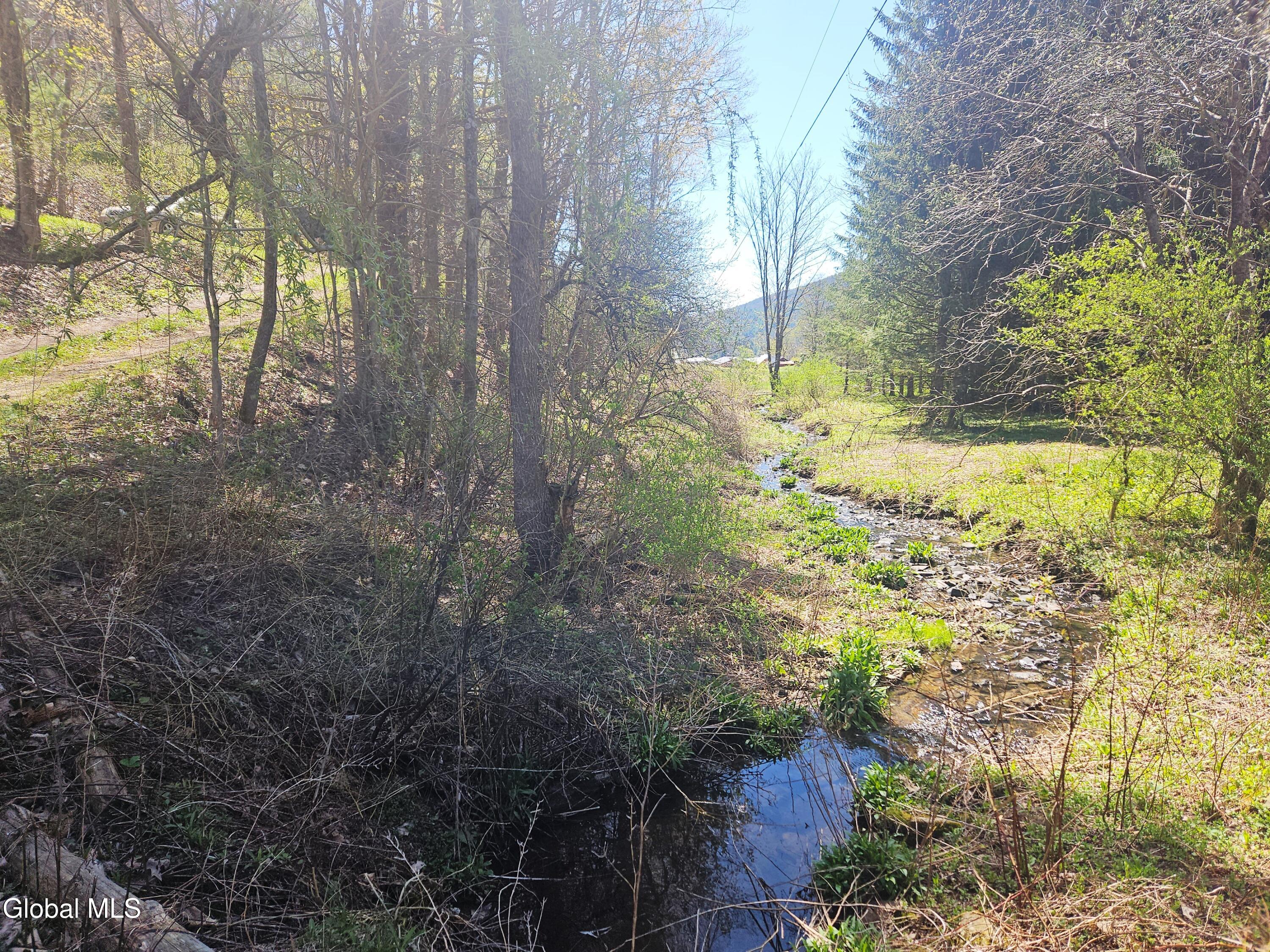 915 Mill Valley Road Middleburgh NY 12122