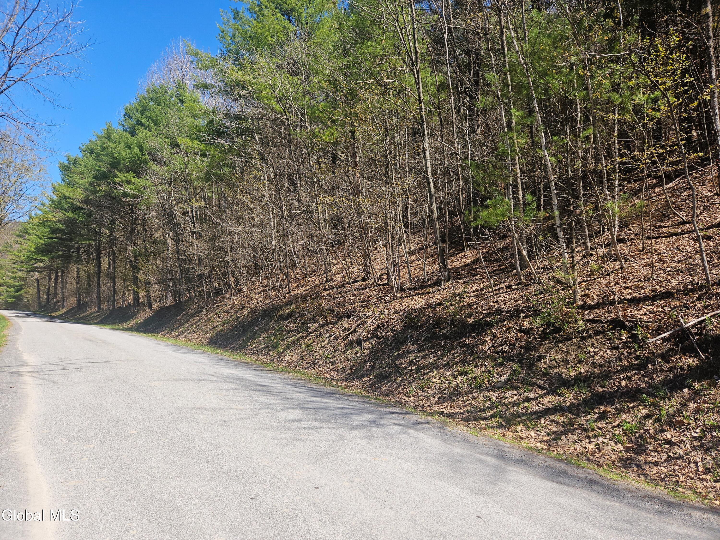 915 Mill Valley Road Middleburgh NY 12122