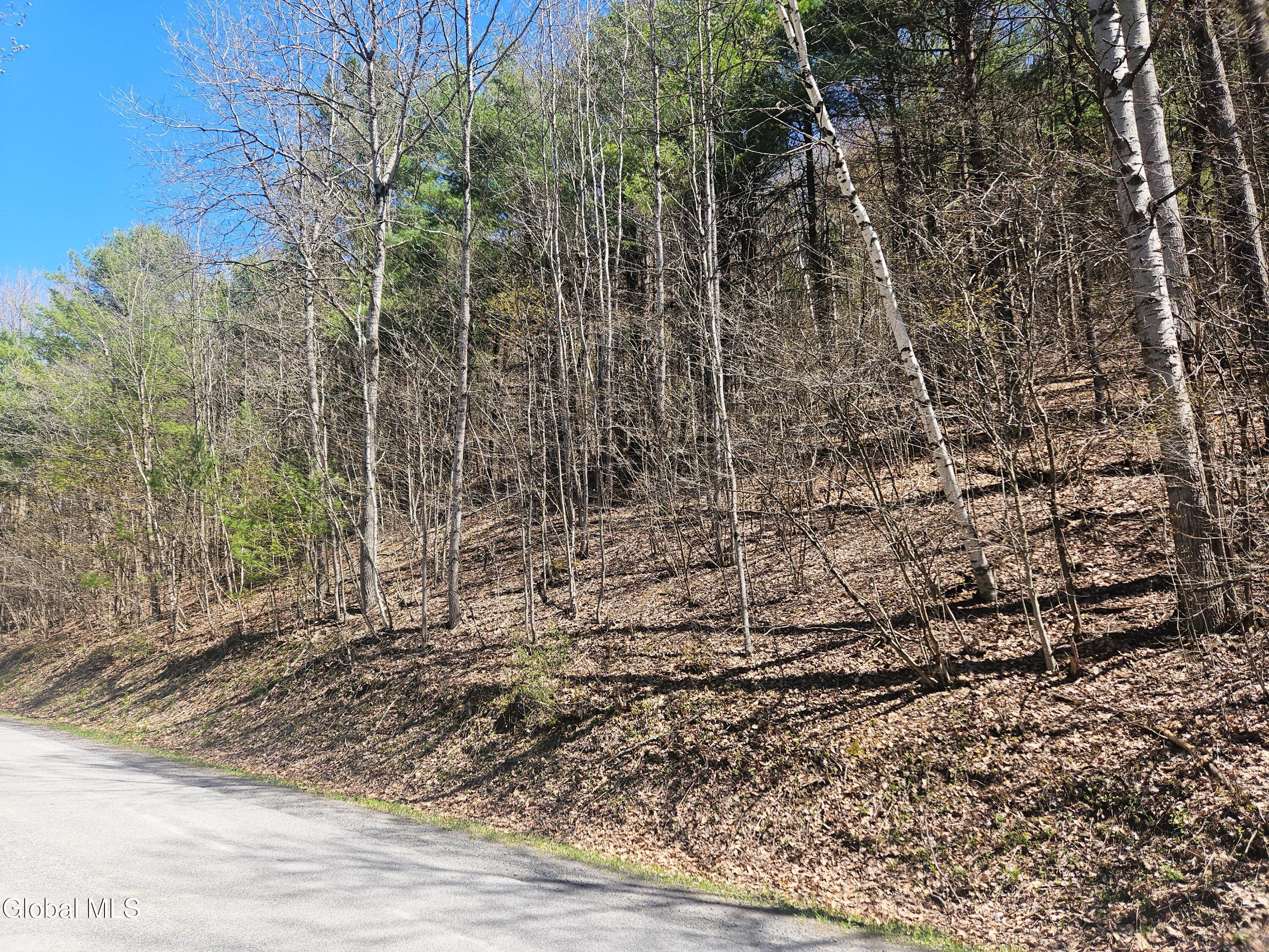 915 Mill Valley Road Middleburgh NY 12122