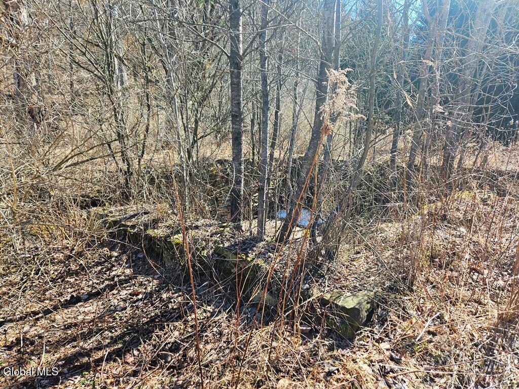 915 Mill Valley Road Middleburgh NY 12122
