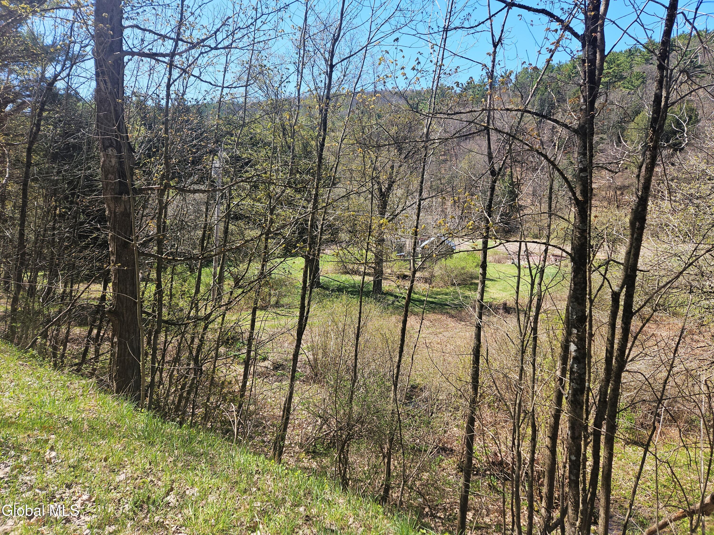 915 Mill Valley Road Middleburgh NY 12122