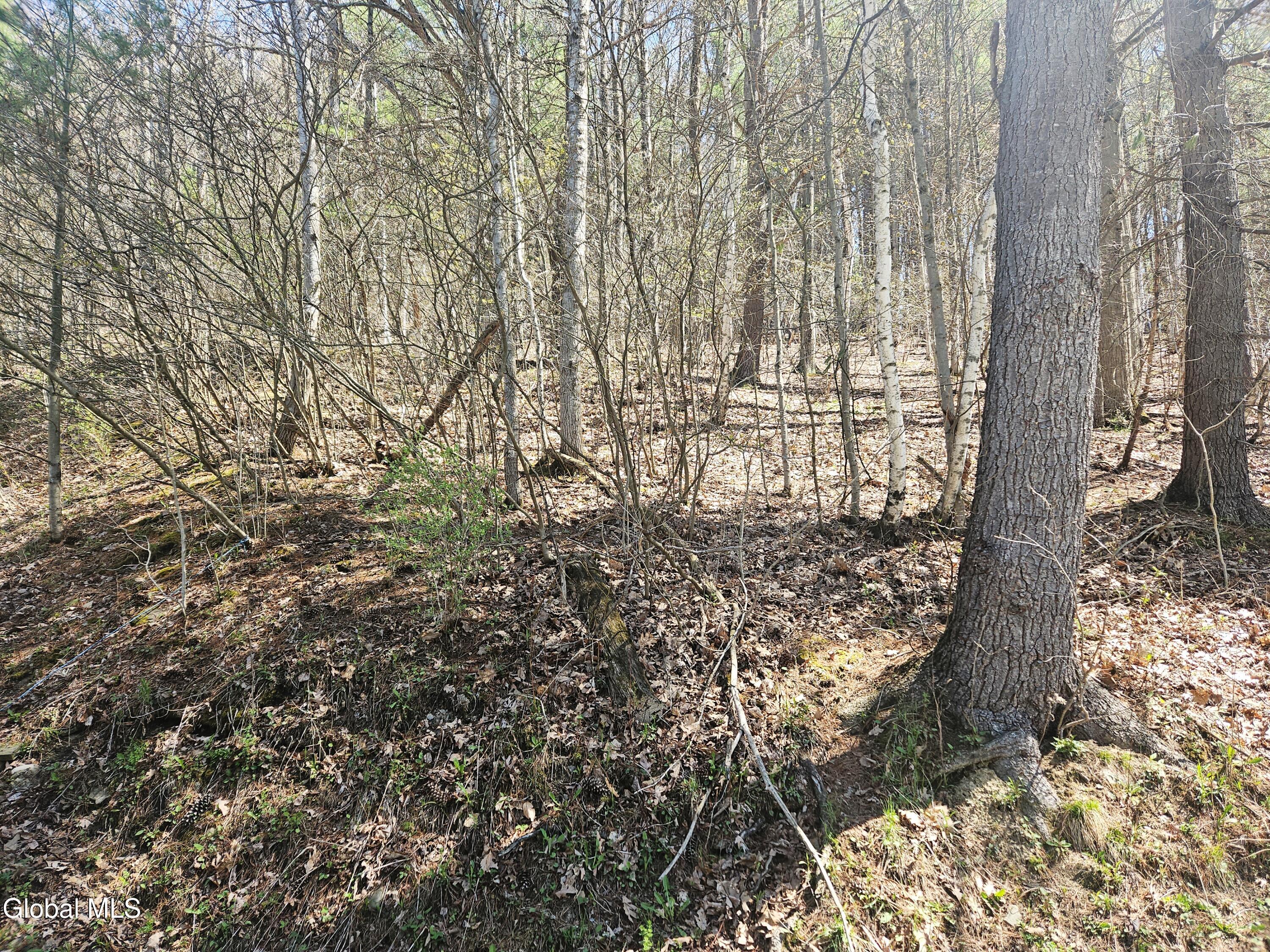 915 Mill Valley Road Middleburgh NY 12122
