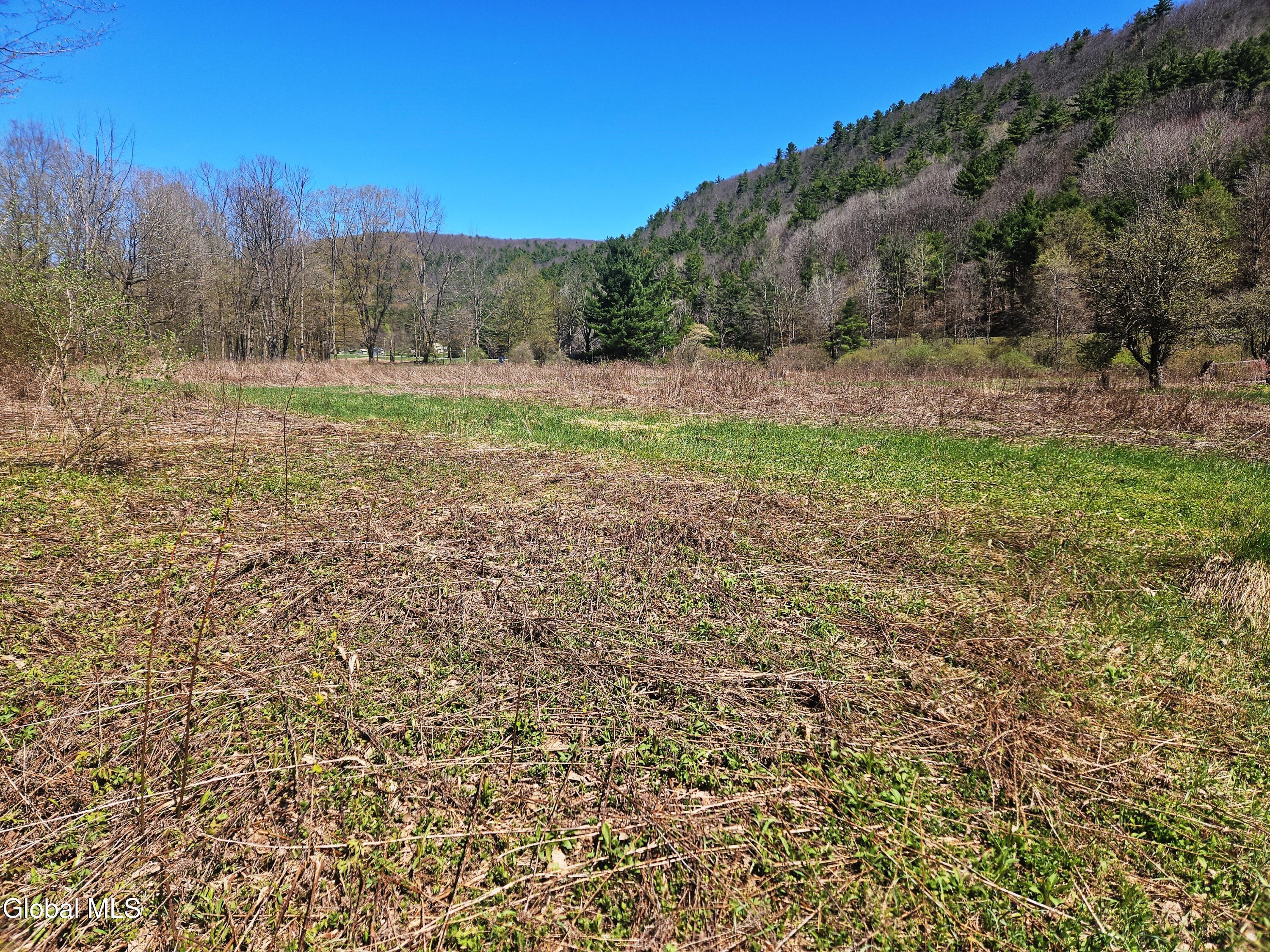 915 Mill Valley Road Middleburgh NY 12122