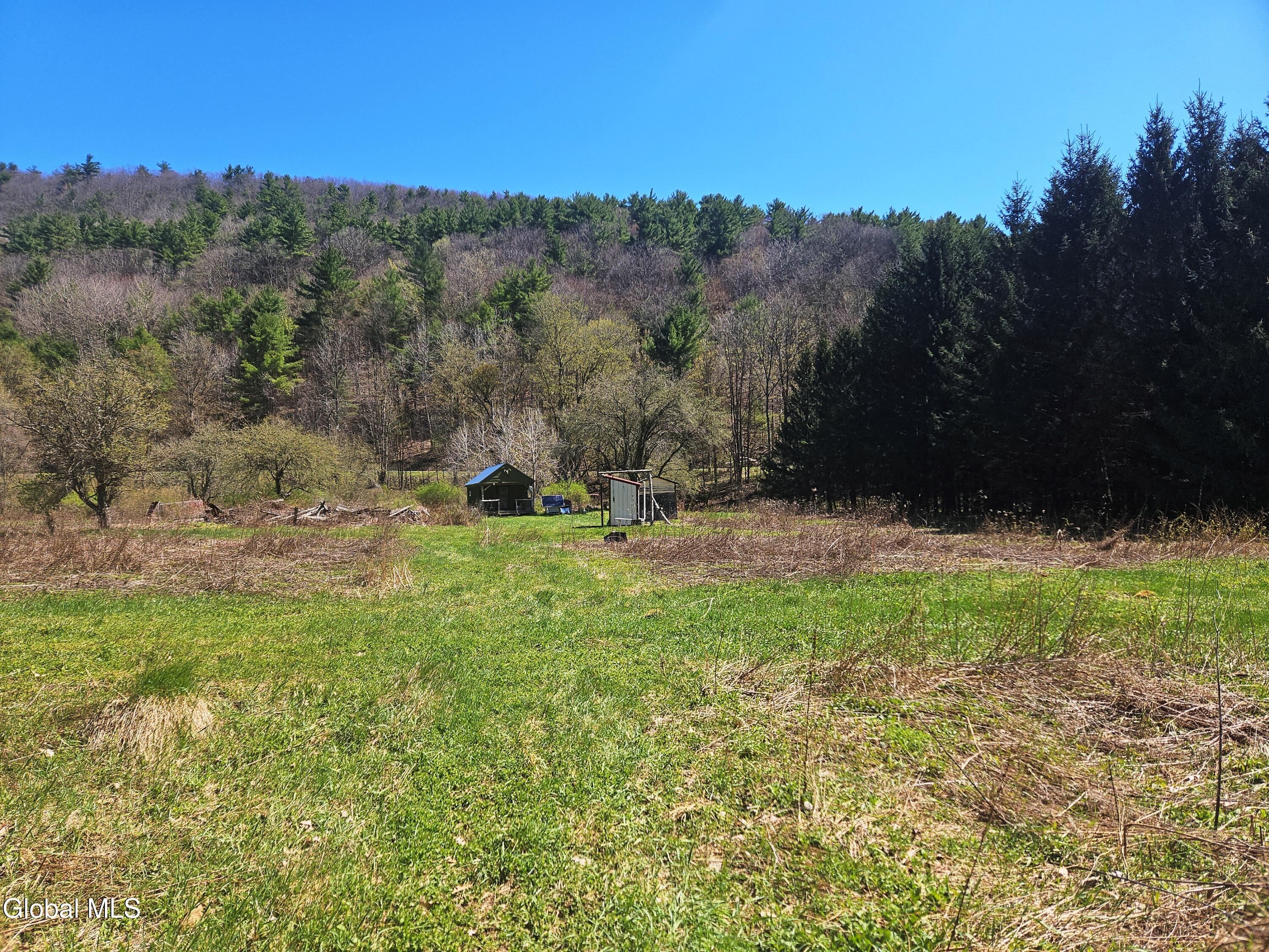 915 Mill Valley Road Middleburgh NY 12122