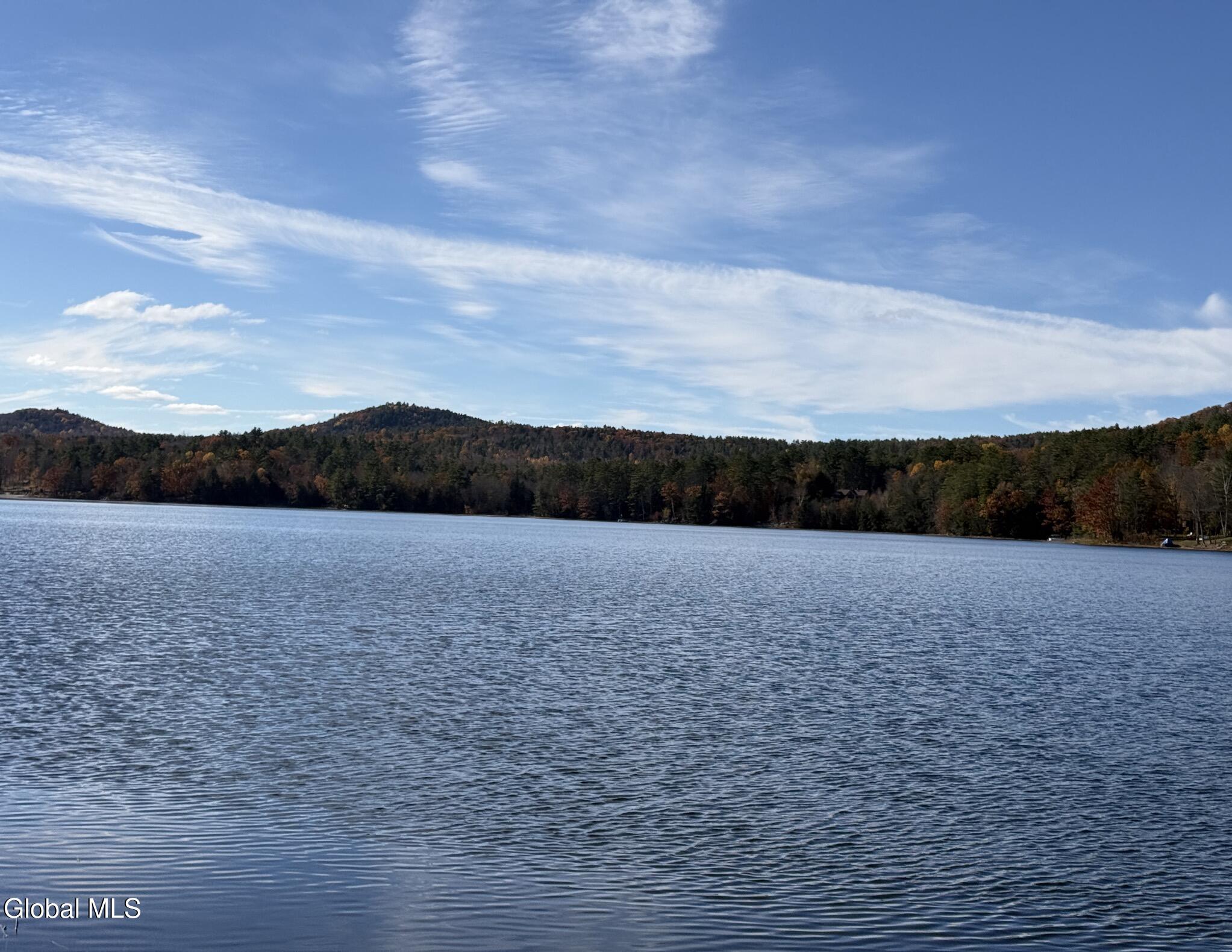 23 Teds Way Diamond Point NY 12824