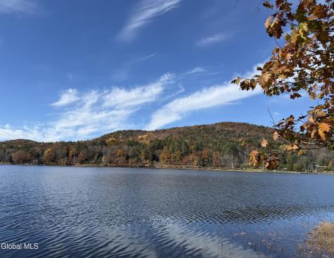 23 Teds Way Diamond Point NY 12824