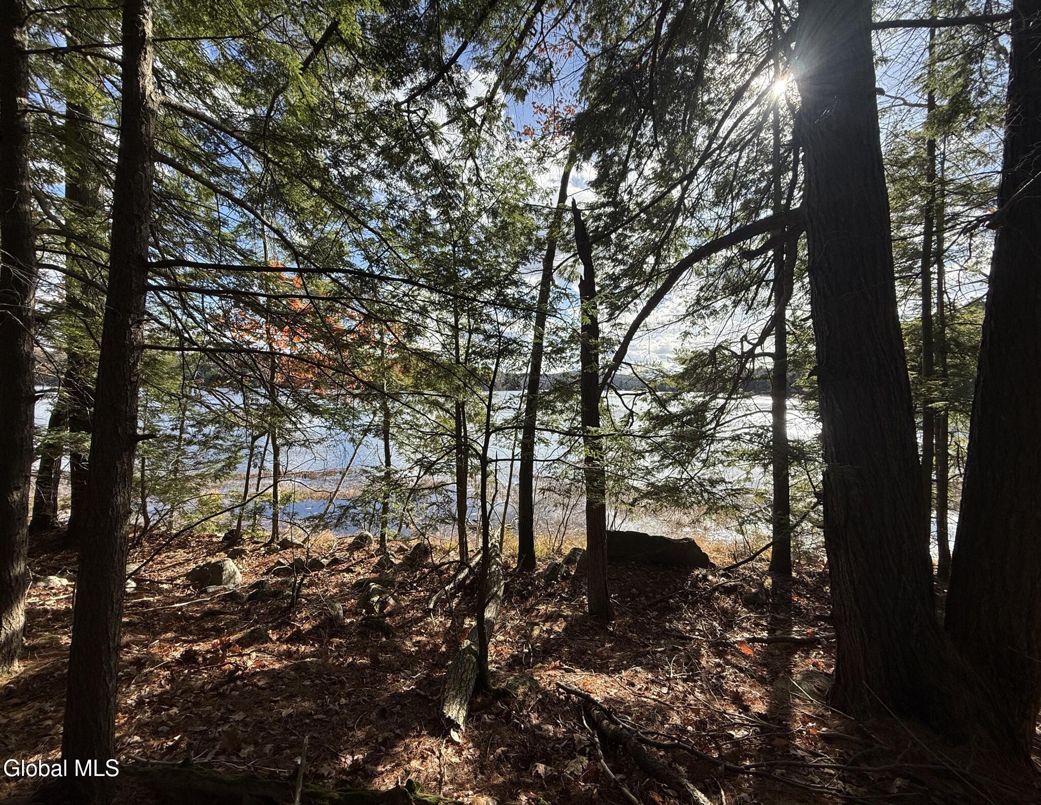 23 Teds Way Diamond Point NY 12824