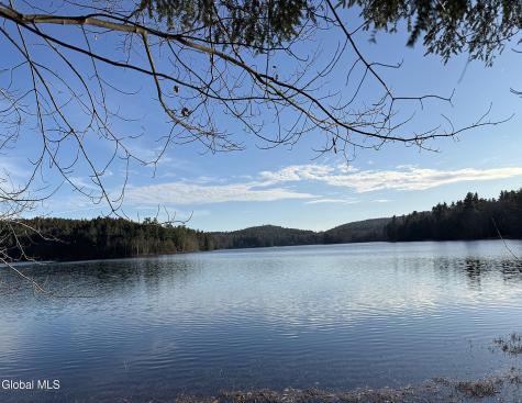 23 Teds Way Diamond Point NY 12824