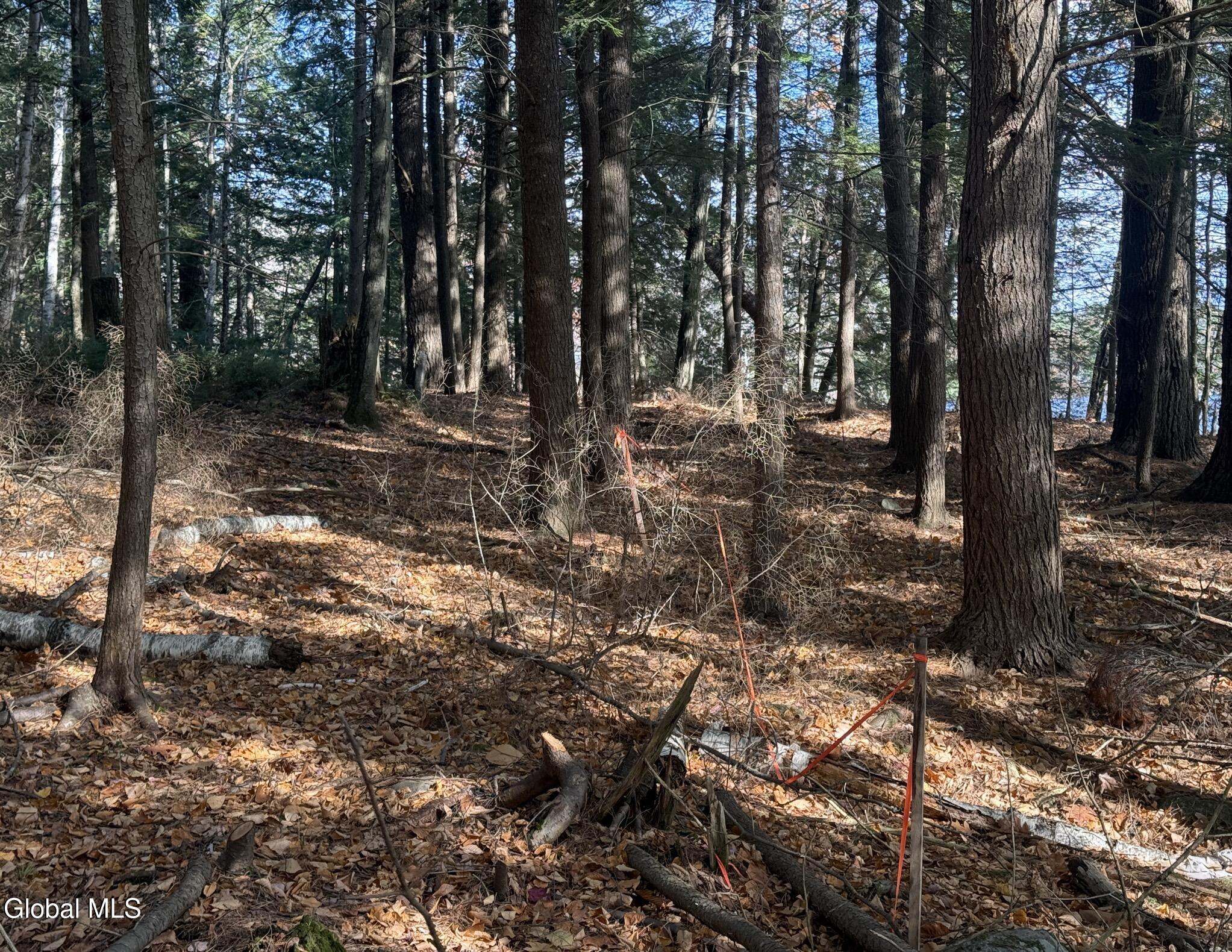 23 Teds Way Diamond Point NY 12824