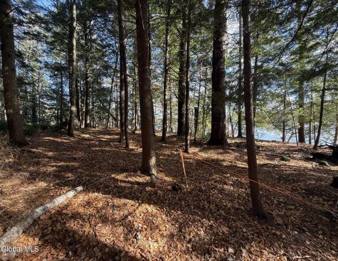 23 Teds Way Diamond Point NY 12824