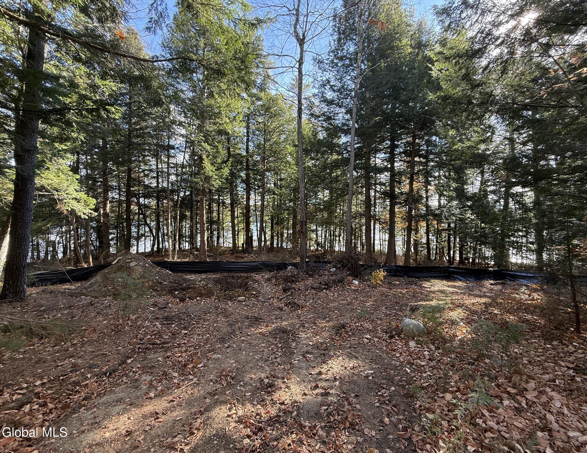23 Teds Way Diamond Point NY 12824