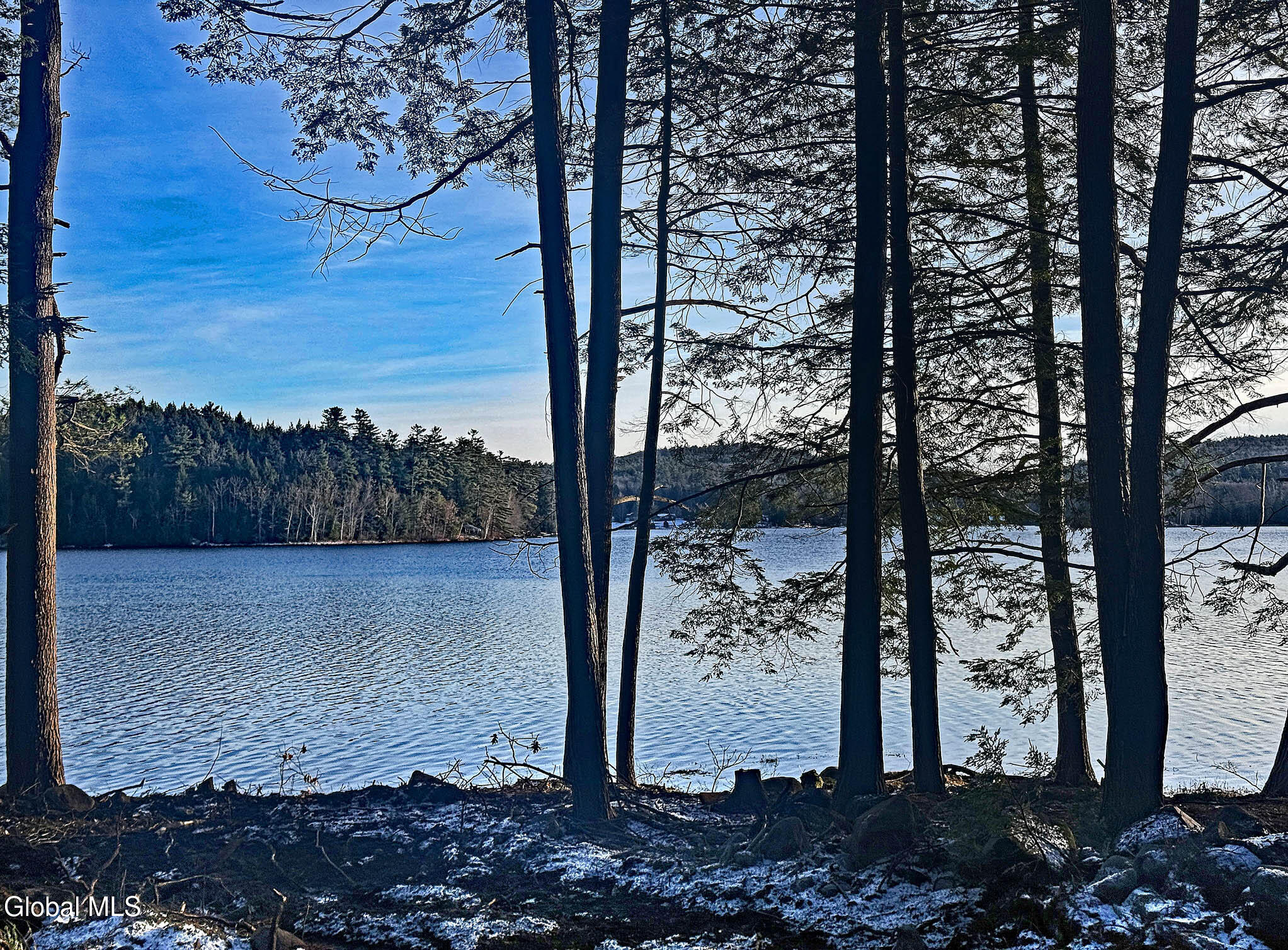 23 Teds Way Diamond Point NY 12824