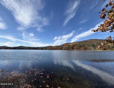 23 Teds Way Diamond Point NY 12824