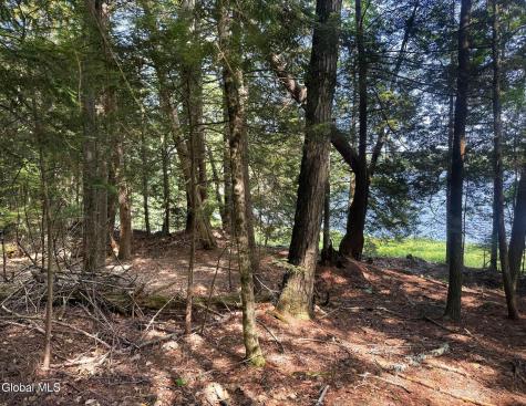 23 Teds Way Diamond Point NY 12824