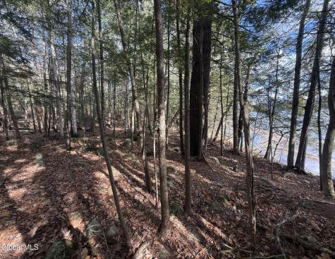 23 Teds Way Diamond Point NY 12824