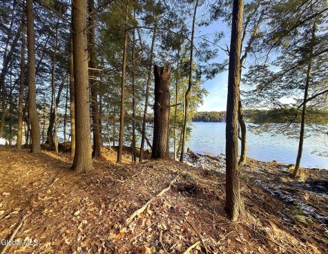 23 Teds Way Diamond Point NY 12824
