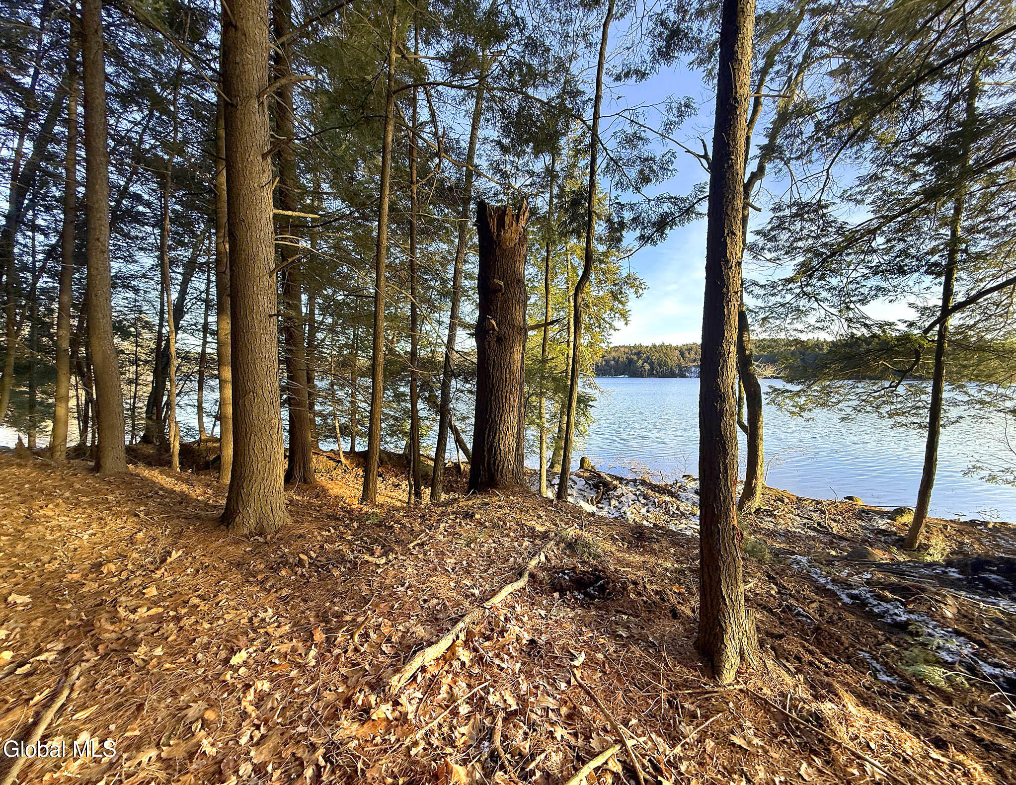23 Teds Way Diamond Point NY 12824
