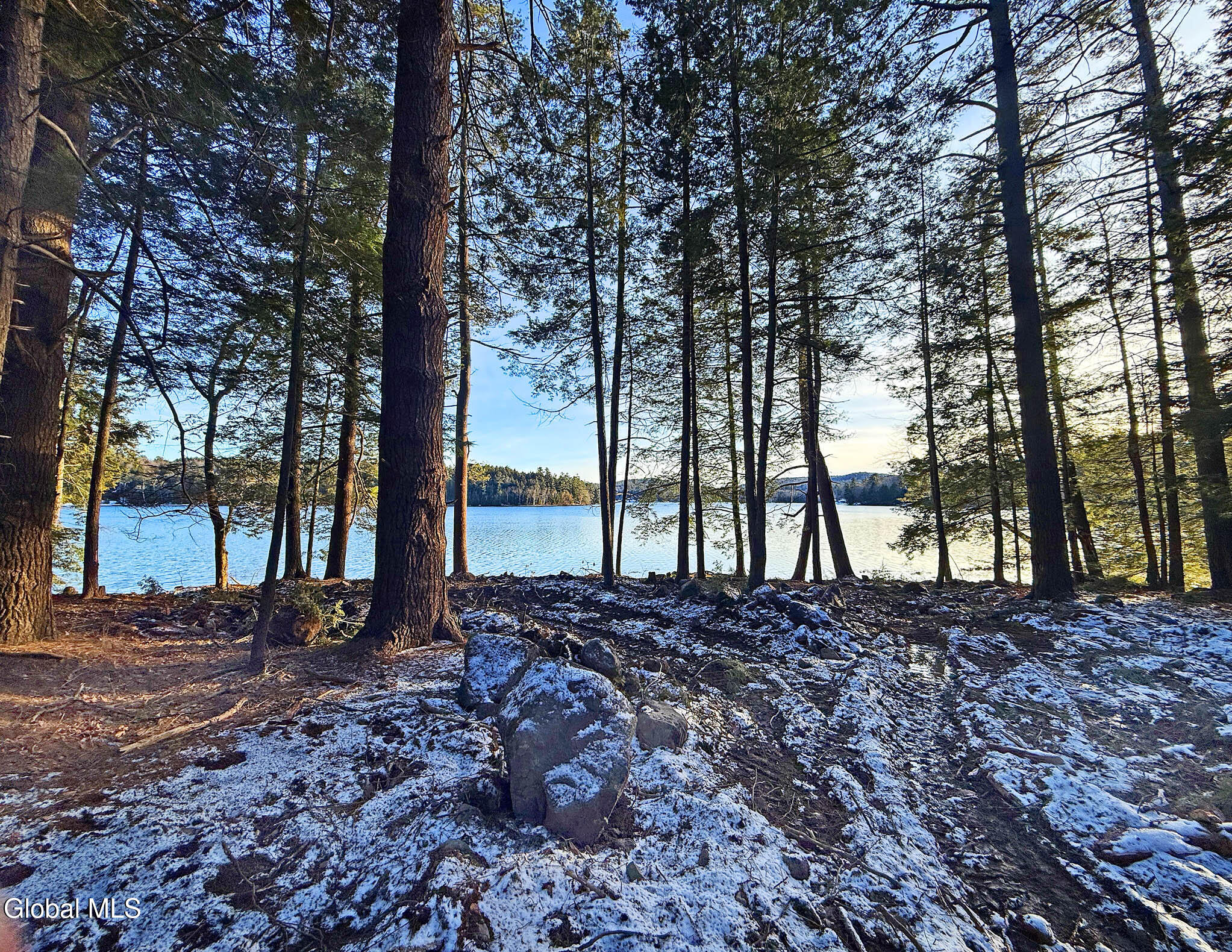 23 Teds Way Diamond Point NY 12824