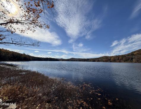 23 Teds Way Diamond Point NY 12824