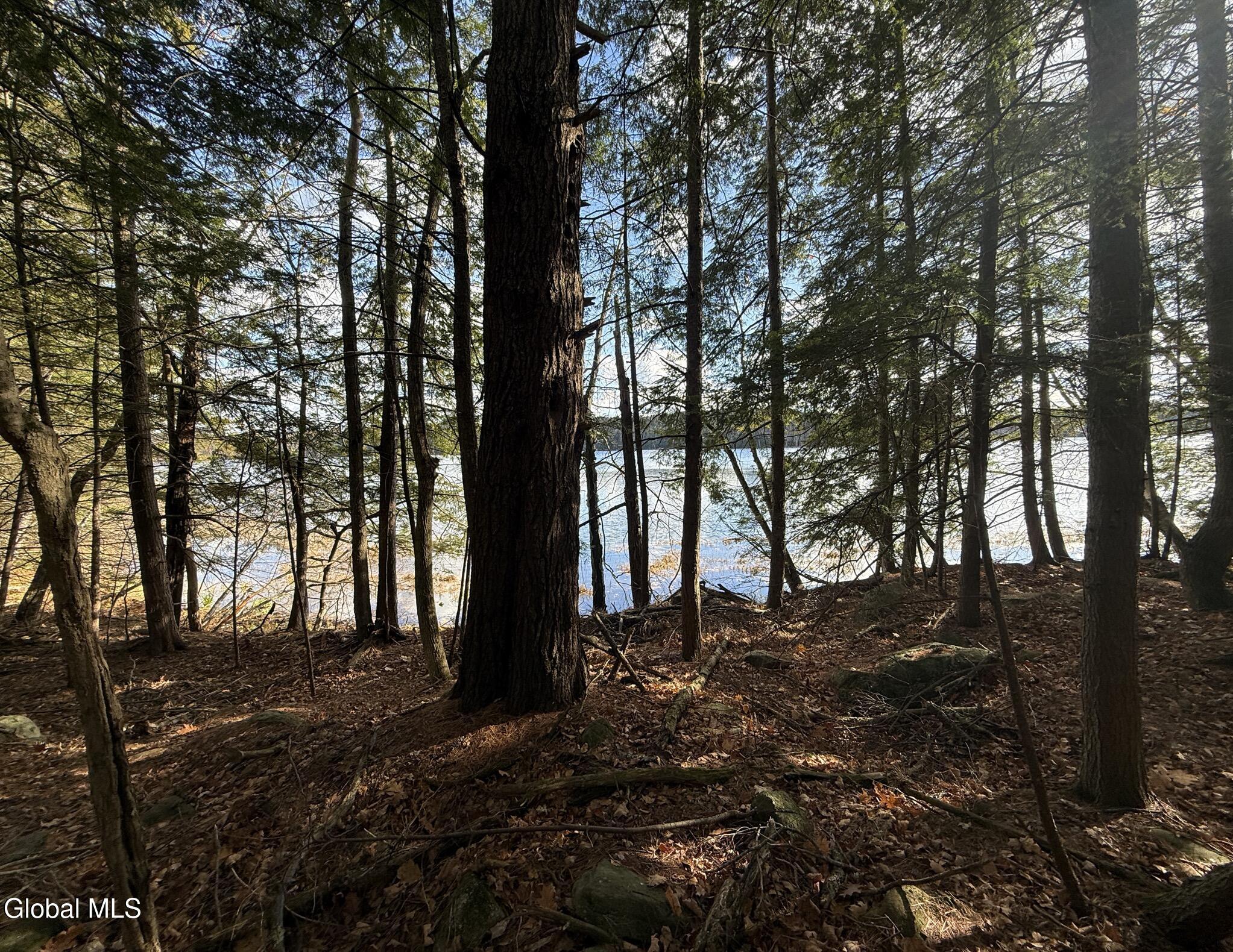 23 Teds Way Diamond Point NY 12824