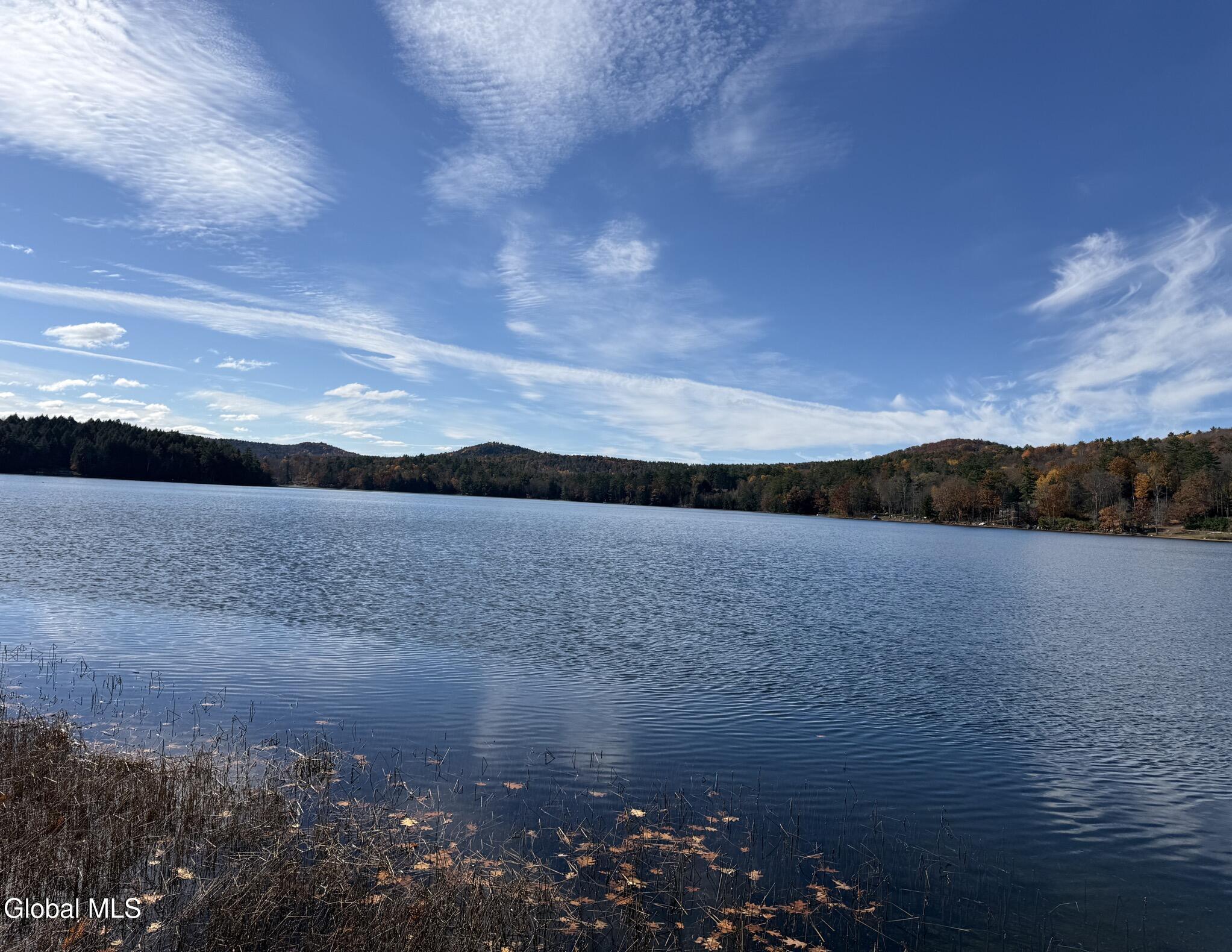 23 Teds Way Diamond Point NY 12824
