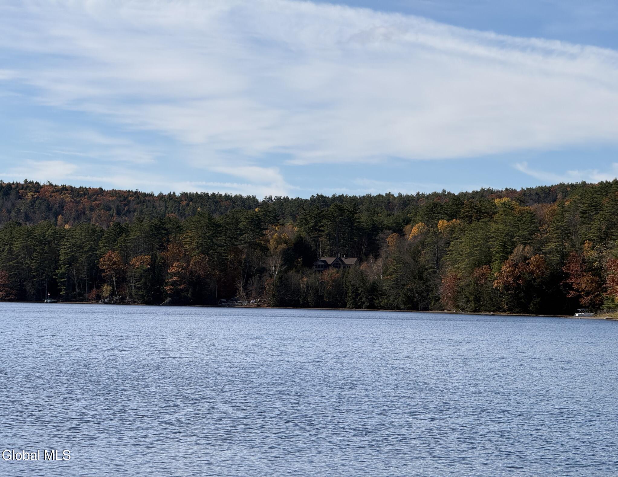 23 Teds Way Diamond Point NY 12824