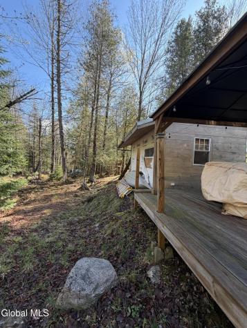 31 Genesee Way Minerva NY 12851