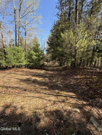 31 Genesee Way Minerva NY 12851