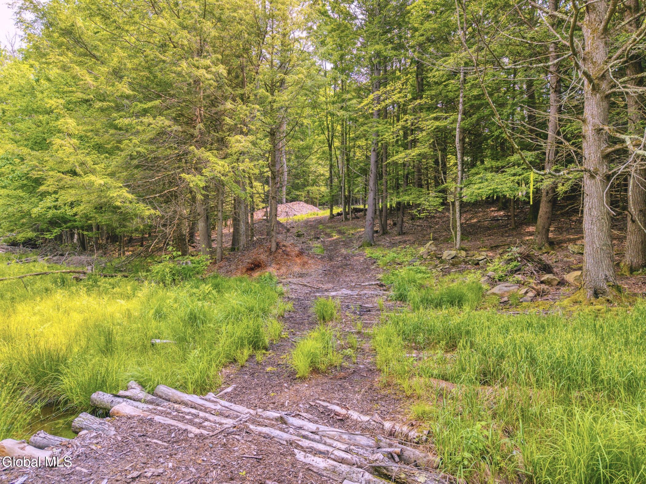 Tbd Boulder Brook Road Windham NY 12496