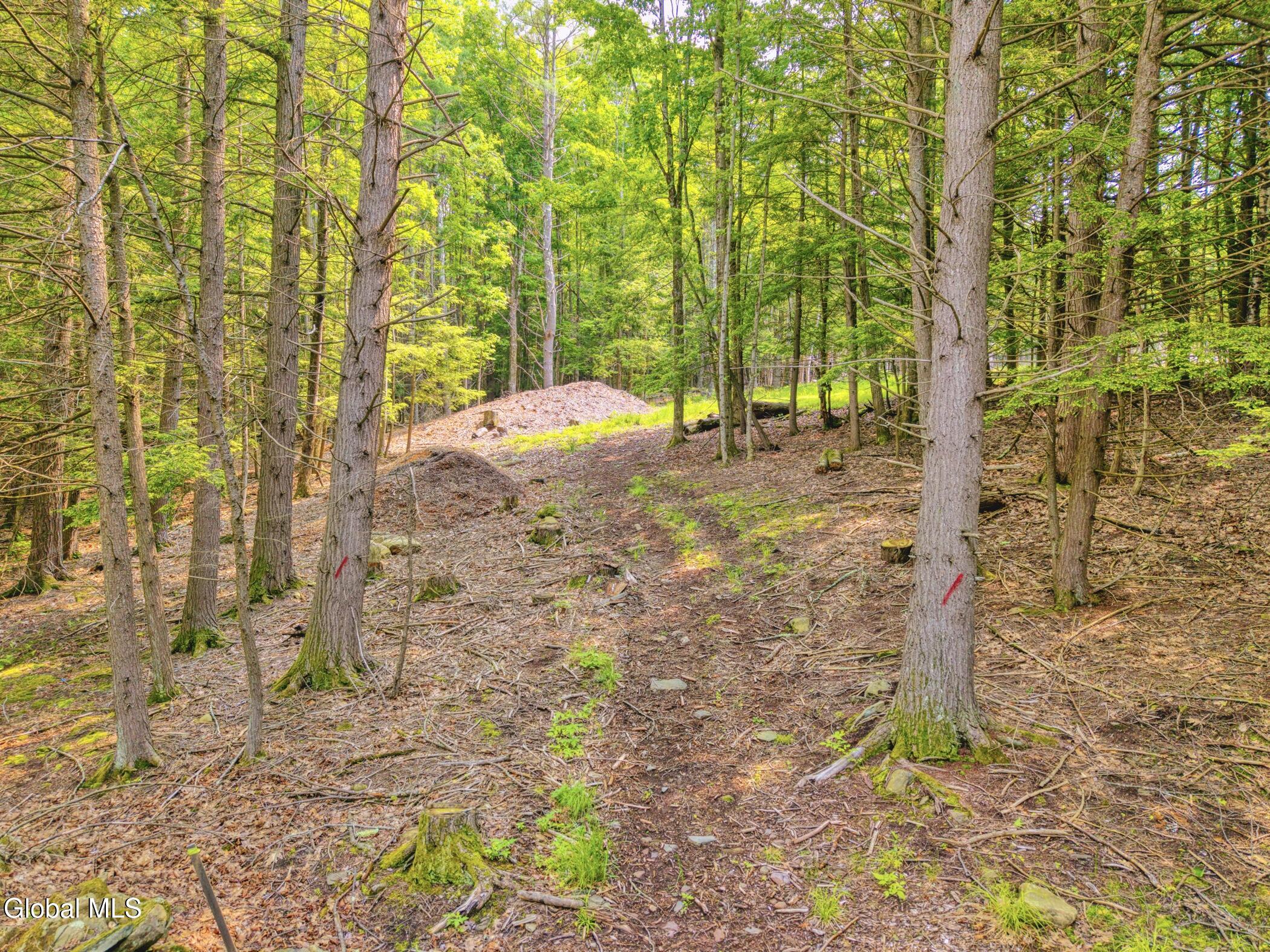 Tbd Boulder Brook Road Windham NY 12496