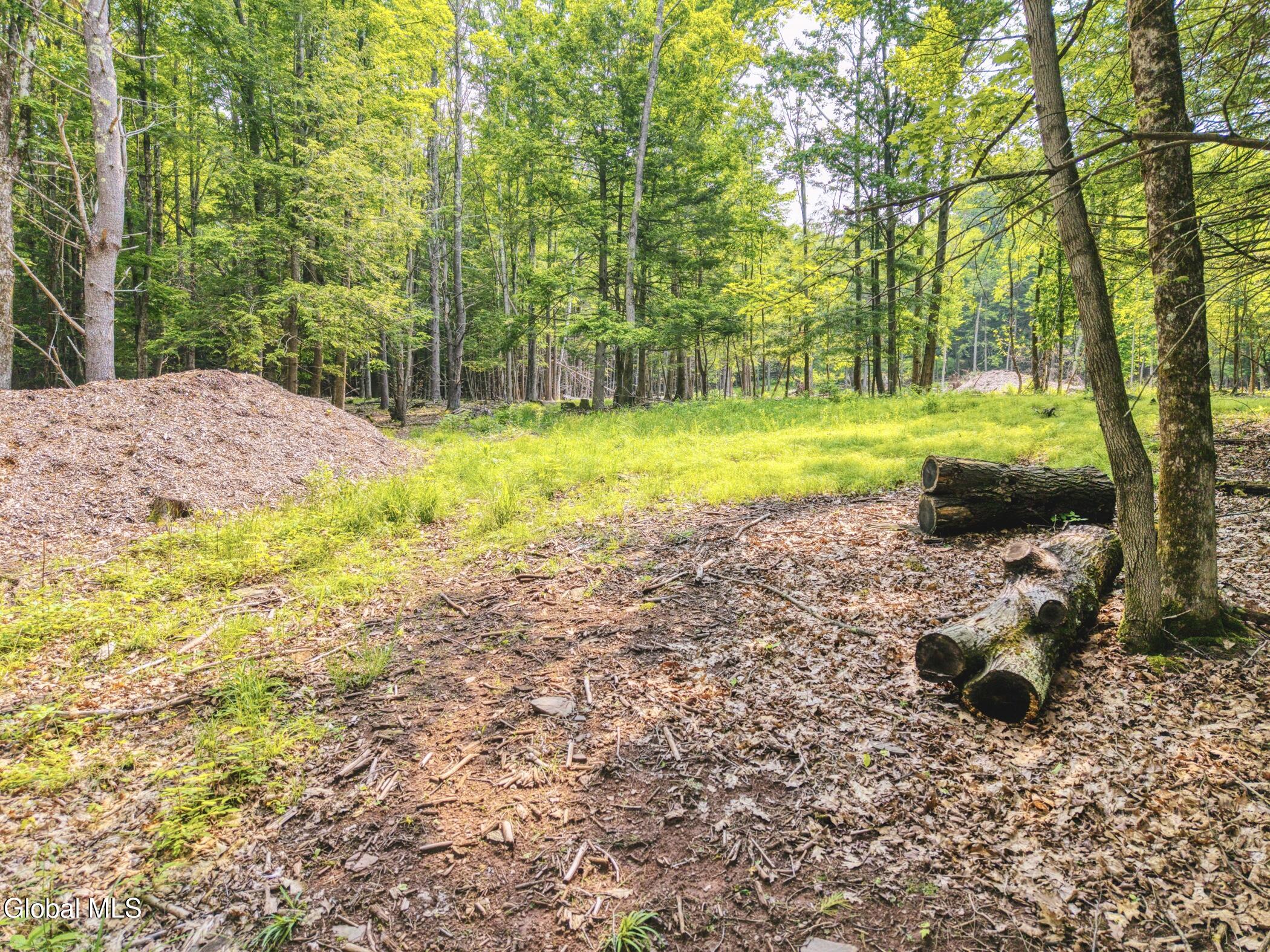 Tbd Boulder Brook Road Windham NY 12496