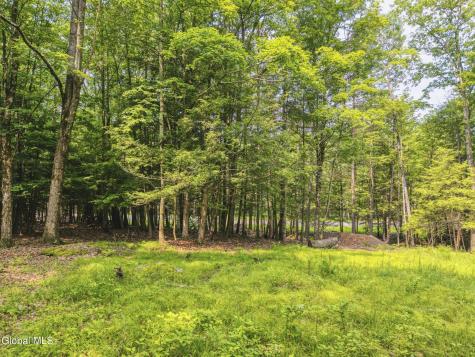 Tbd Boulder Brook Road Windham NY 12496