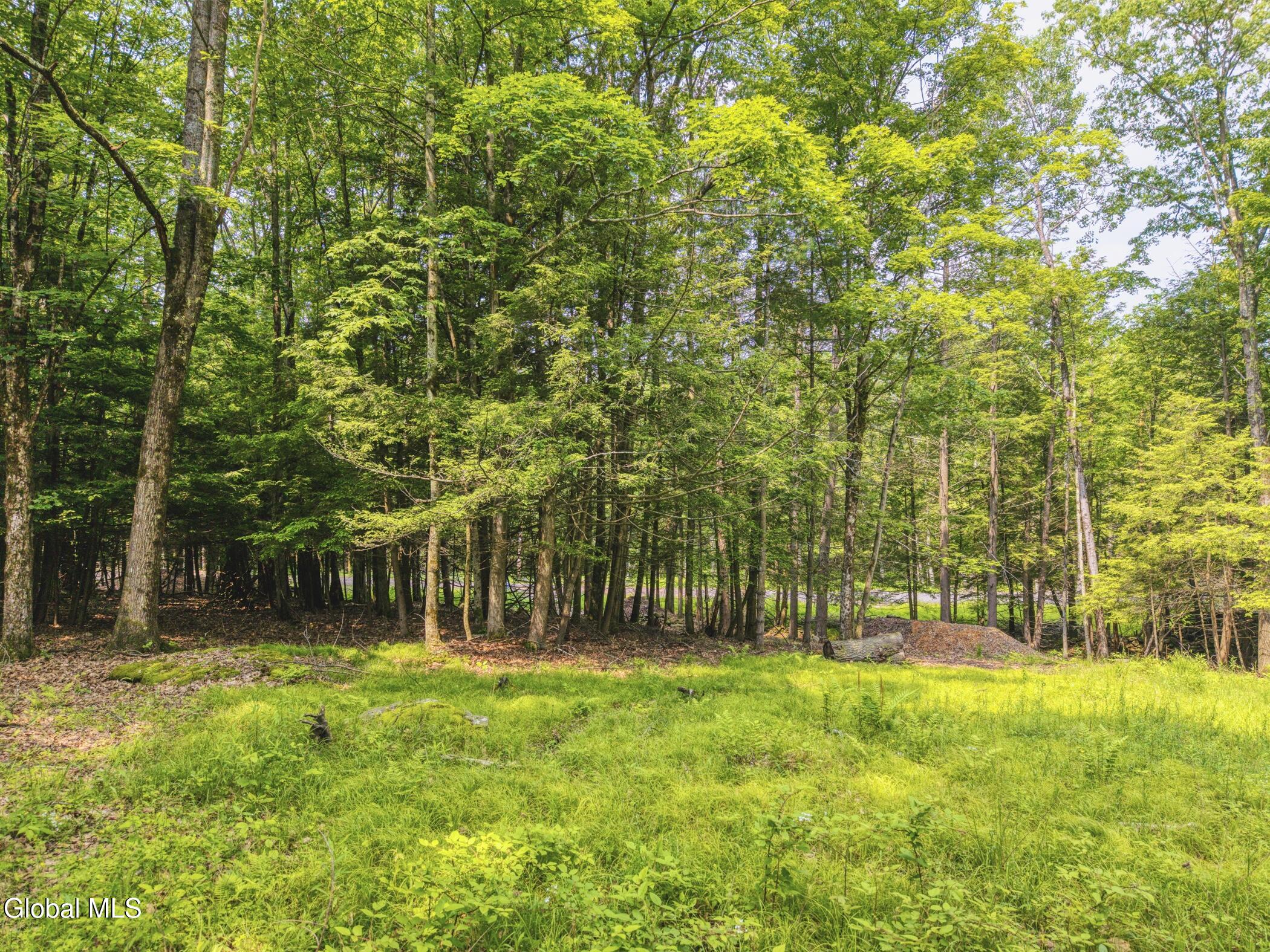 Tbd Boulder Brook Road Windham NY 12496