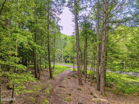 Tbd Boulder Brook Road Windham NY 12496